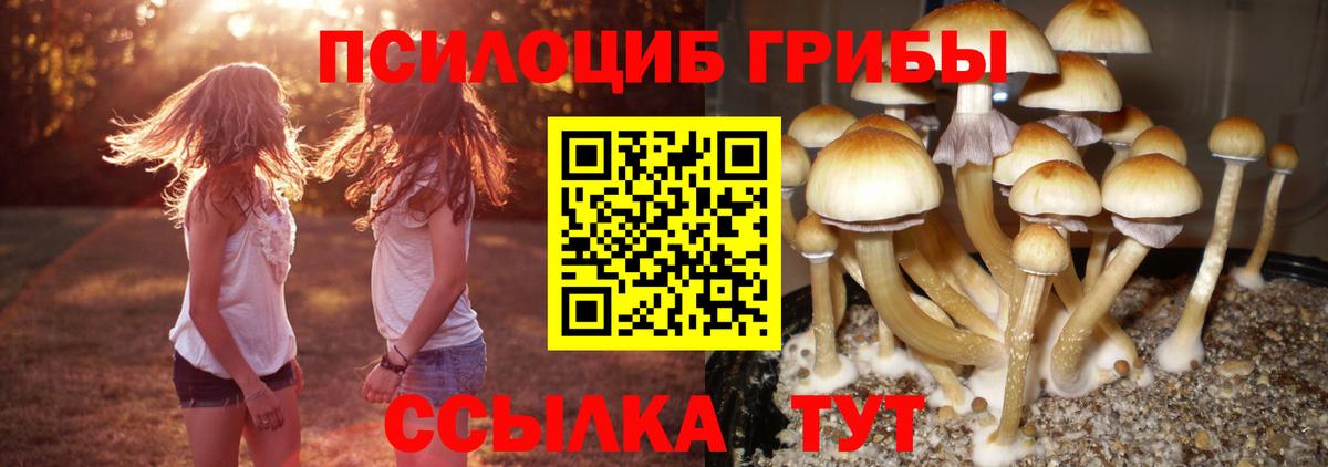Псилоцибиновые грибы Magic Shrooms Усть-Джегута