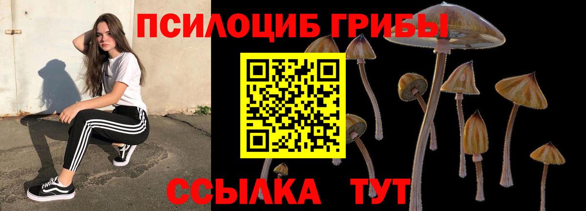 Усть-Джегута  купить наркоту  Вход с VPN  Псилоцибиновые грибы Psilocybine cubensis 